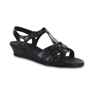 Aurora Carbon